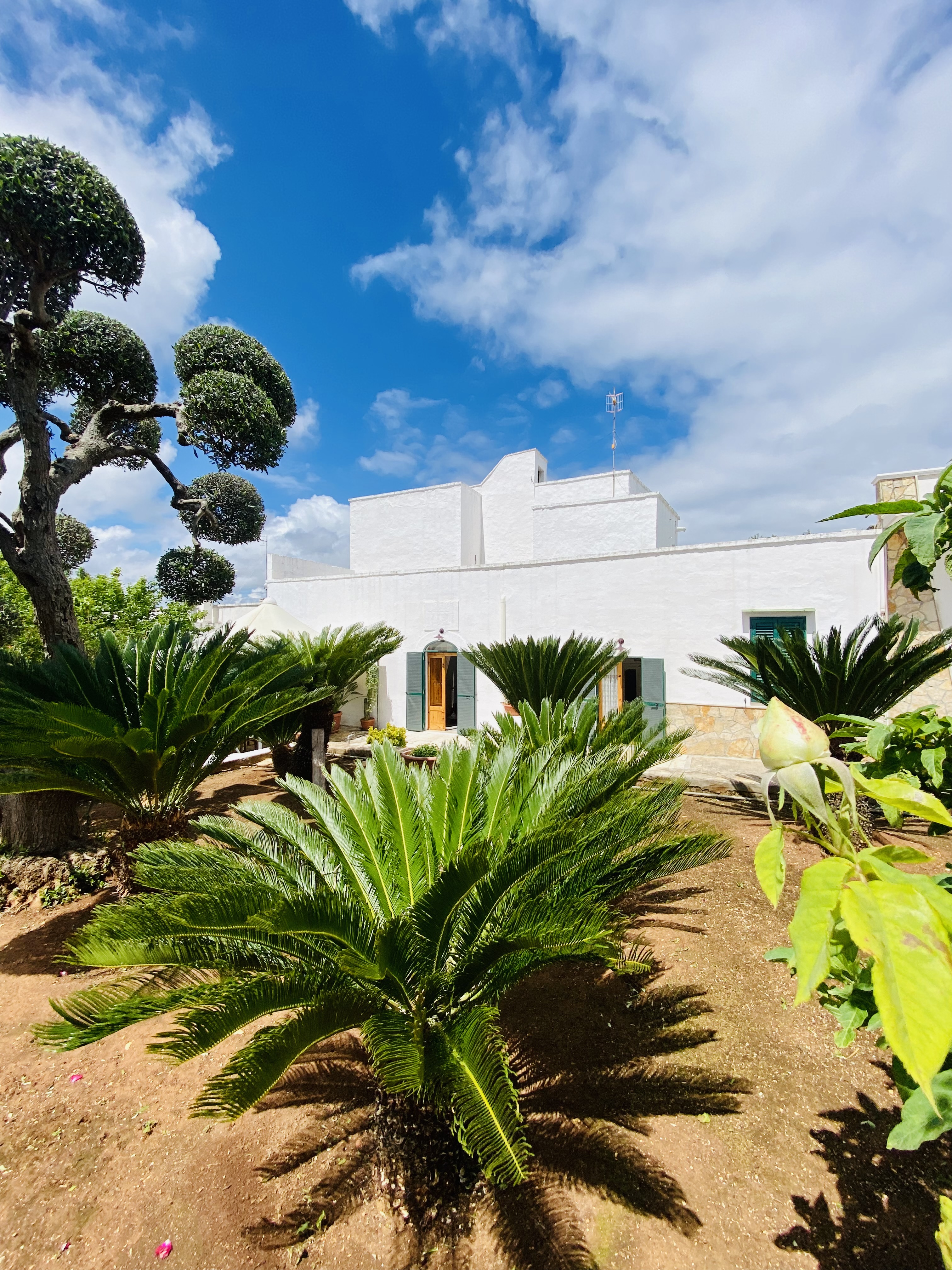 Giardino