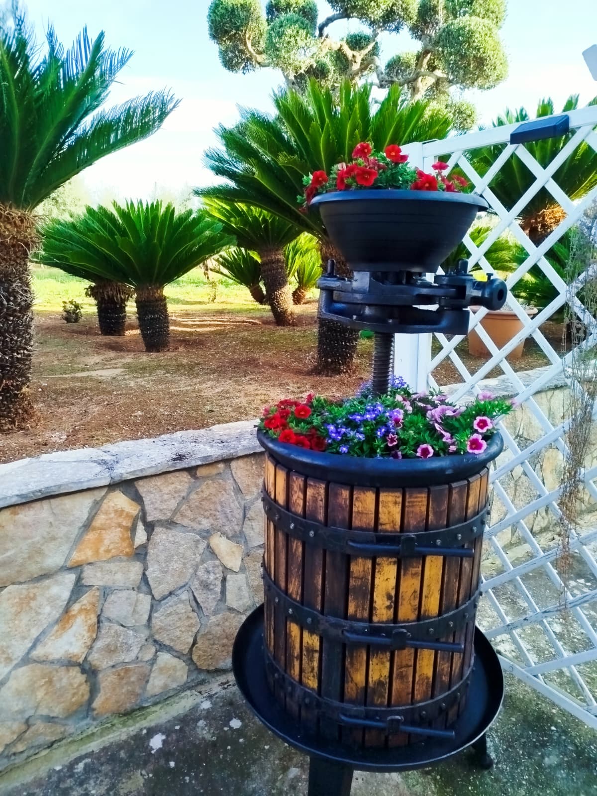 Giardino